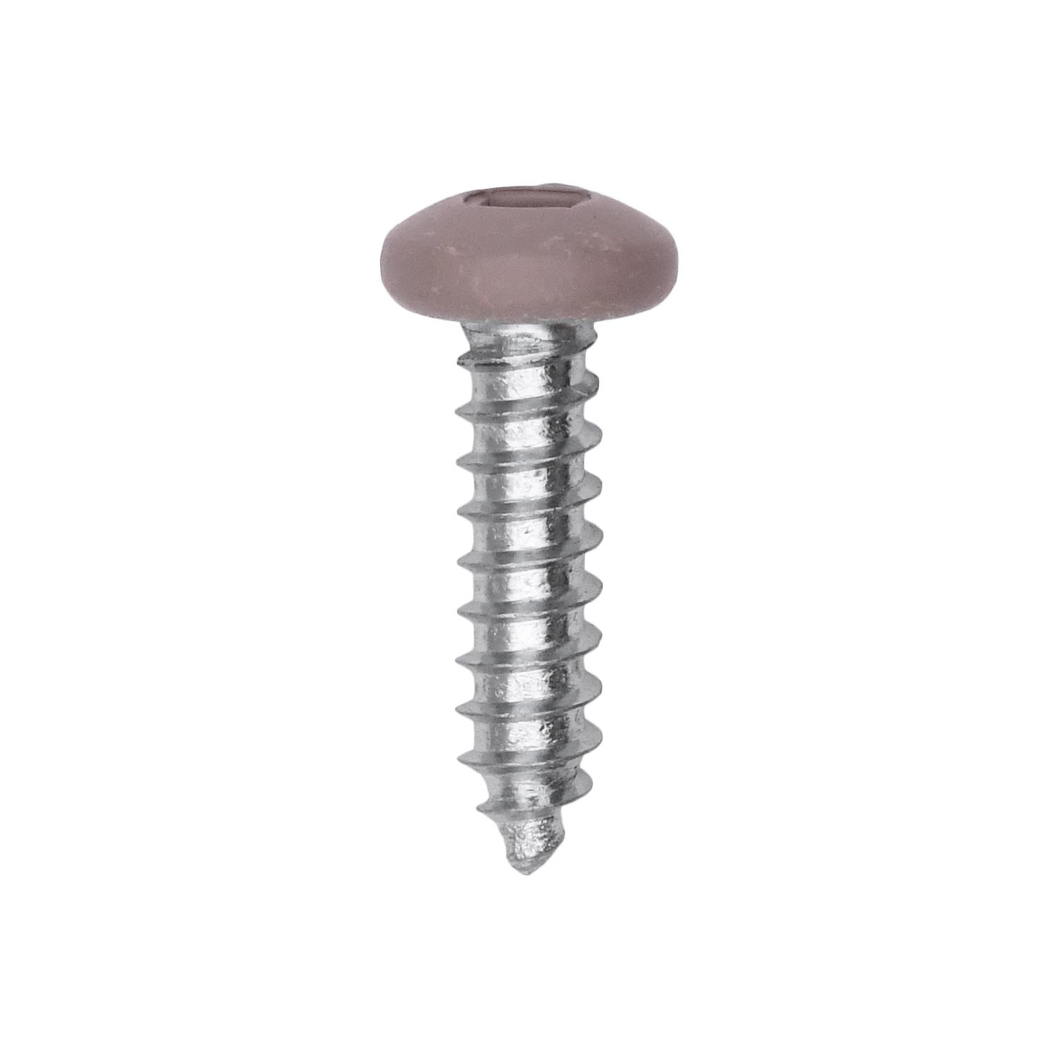 100 pcs/pk- #10 10 x 3/4